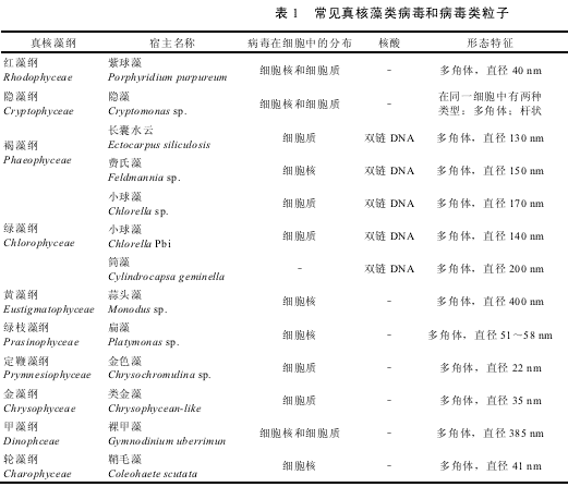 常见真核藻类病毒和病毒类粒子